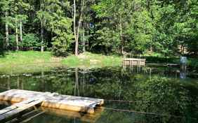 Wenige Meter im Wald wartet ein weiterer Naturbadesee